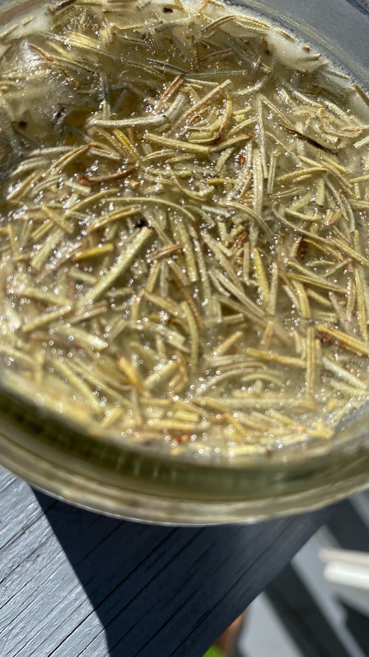Botanical Multipurpose Infused Rosemary Oil
